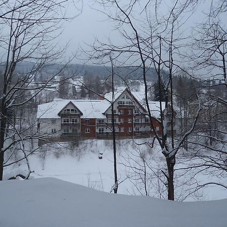 Apartman Lucie Spindleruv Mlyn Exterior photo